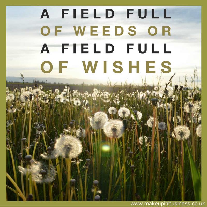 A field full of wishes or a field full of dreams